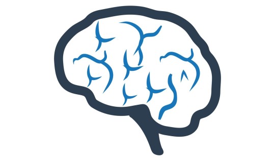 Feit of fictie: Kleinere hersenen door een burn-out? Neurologen zien meerdere veranderingen in brein bij veel stressklachten